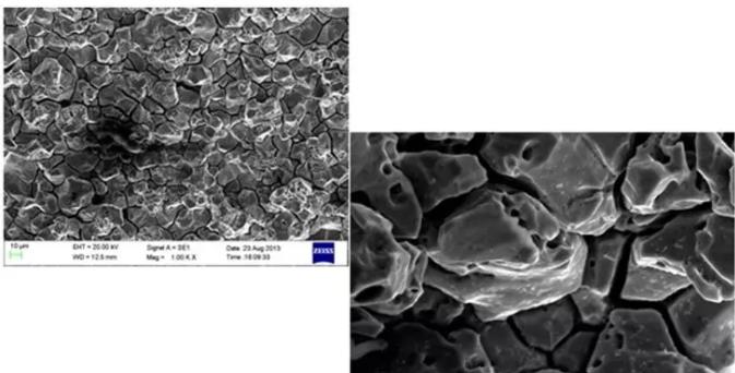 东莞东莞蔡司东莞扫描电镜