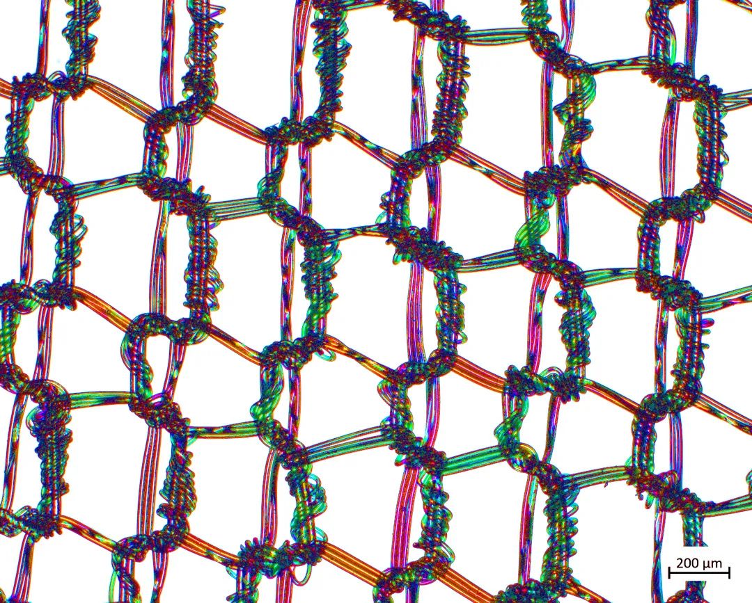 东莞蔡司场发射东莞扫描电镜