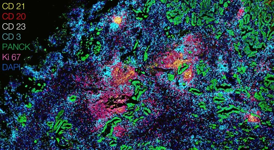 东莞东莞蔡司显微镜