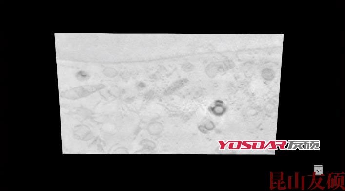 FIB东莞扫描电镜