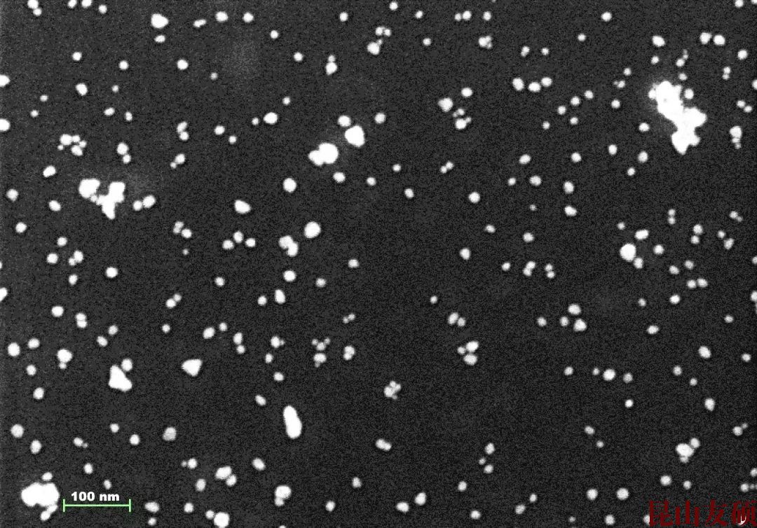 东莞东莞蔡司东莞扫描电镜