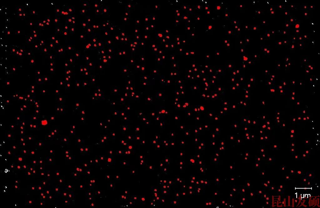 东莞东莞蔡司东莞扫描电镜